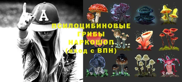 молекула духа Алексеевка